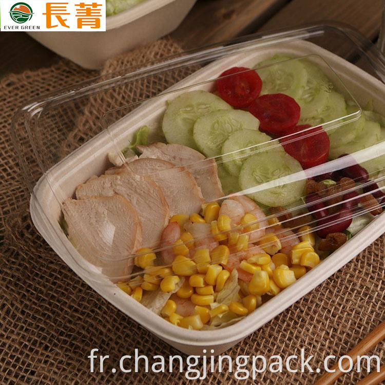  biodegradable plastic containers